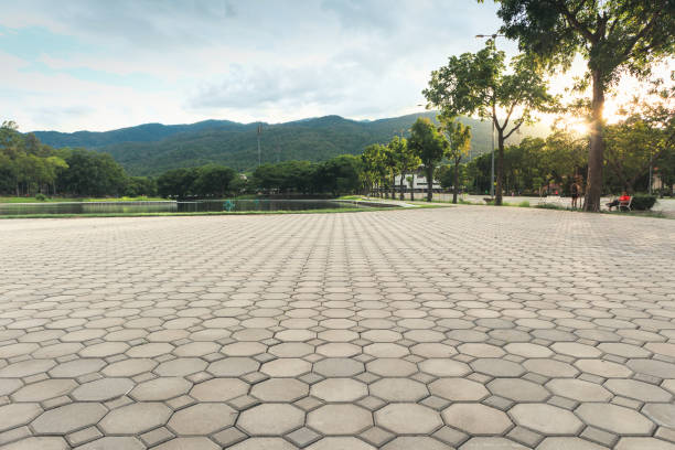 Best Custom Driveway Pavers  in Velva, ND