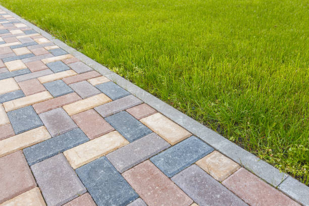 Best Affordable Driveway Pavers  in Velva, ND